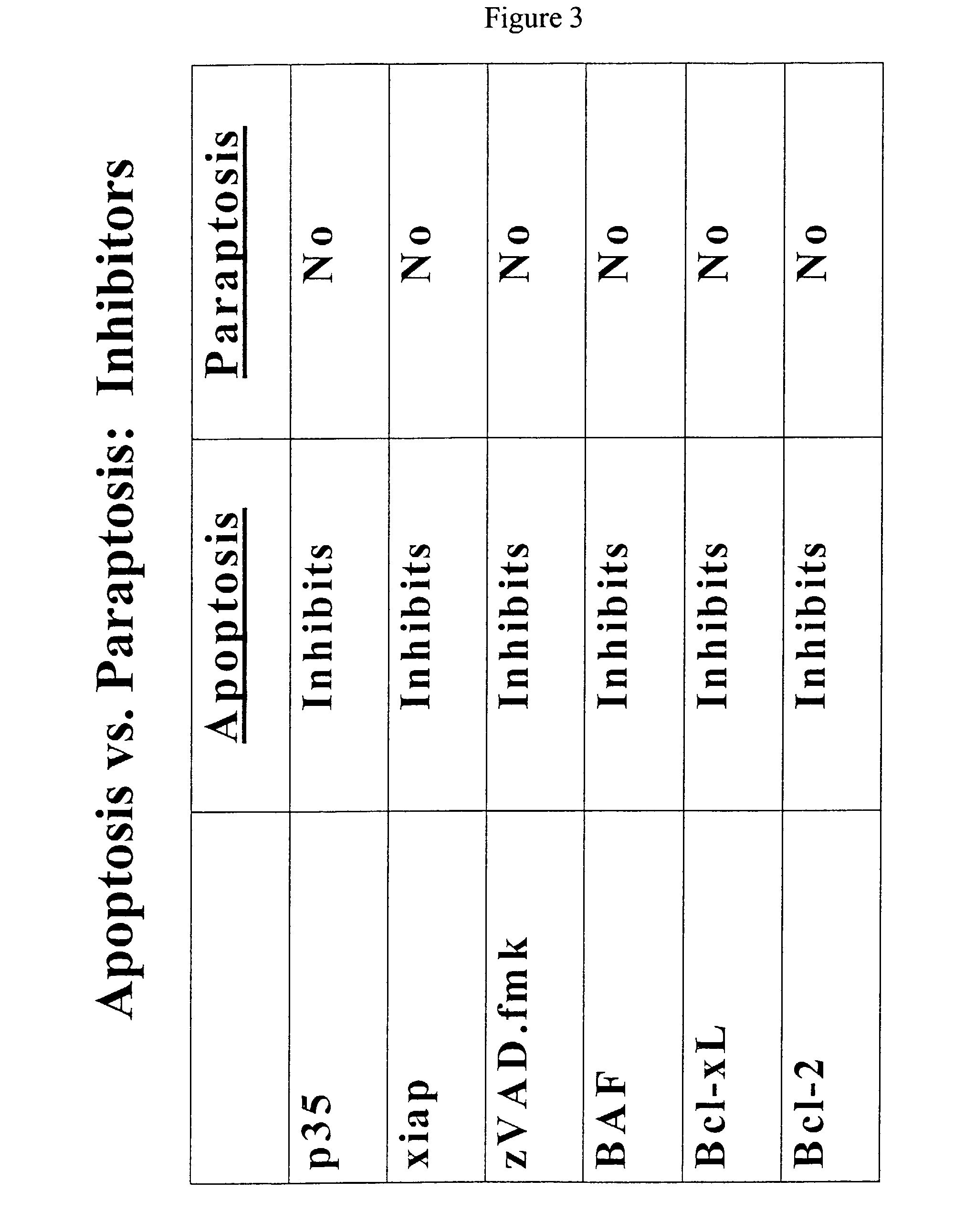 Modulators of paraptosis and related methods