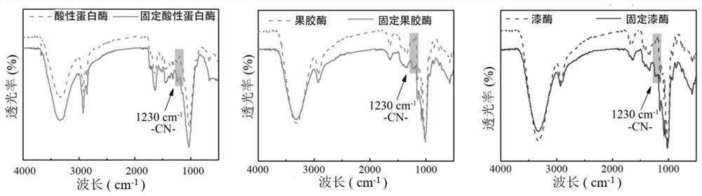 Preparation for improving anaerobic fermentation efficiency of organic solid waste and preparation method and application of preparation