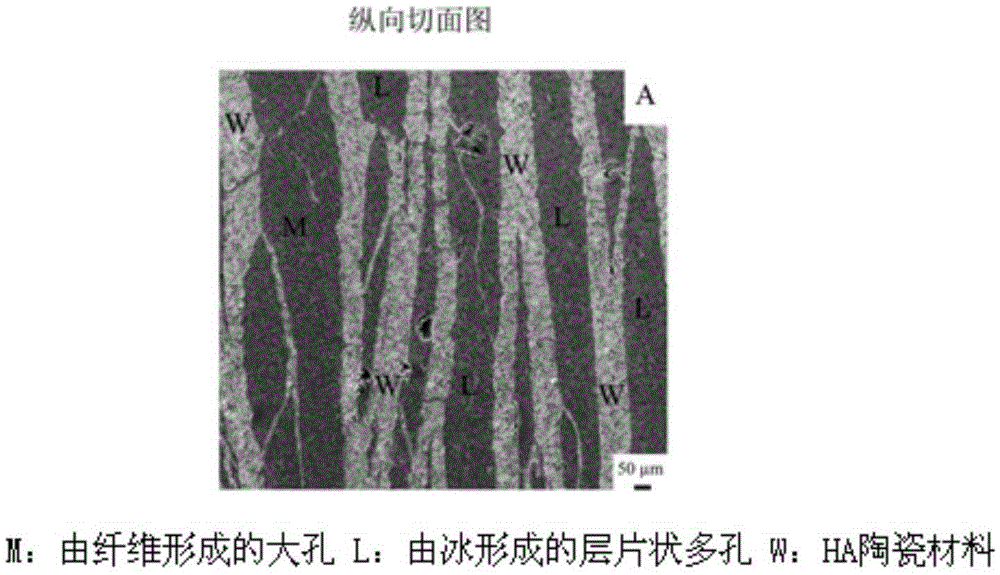 A kind of porous hydroxyapatite bioceramic and preparation method thereof