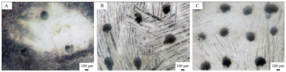 A kind of porous hydroxyapatite bioceramic and preparation method thereof