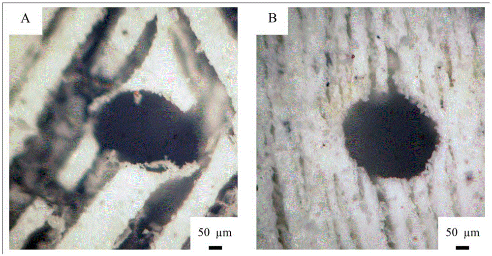 A kind of porous hydroxyapatite bioceramic and preparation method thereof