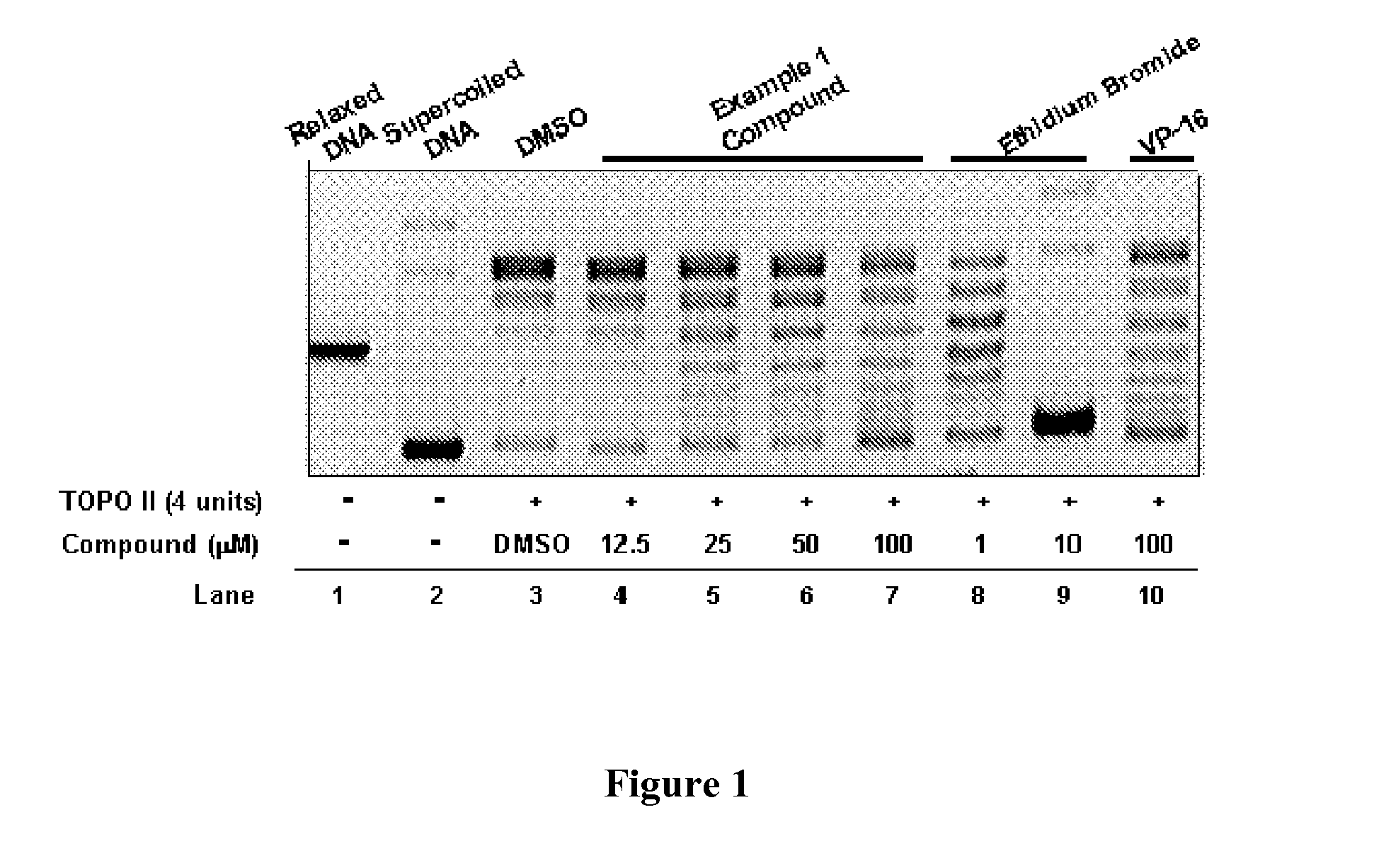 Compounds and therapeutical use thereof