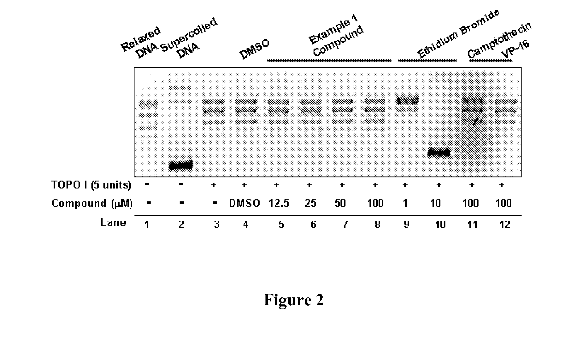 Compounds and therapeutical use thereof