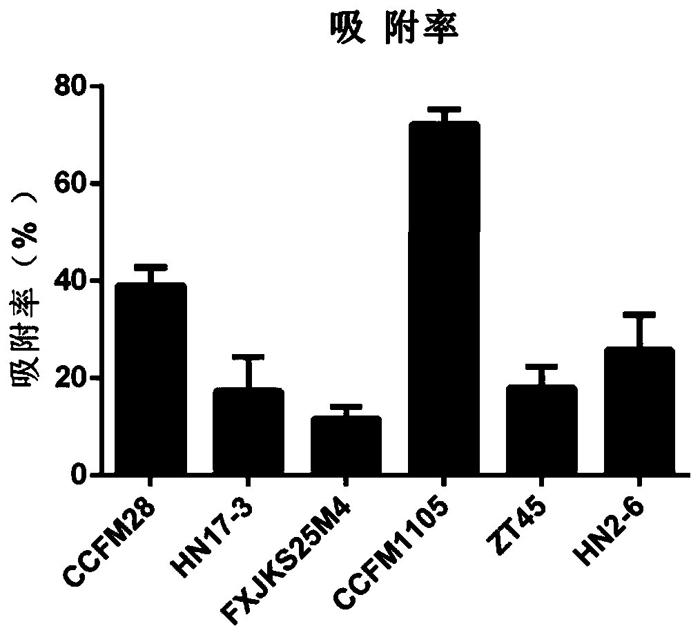 Multifunctional pediococcus acidilactici CCFM1105, fermented food produced from multifunctional pediococcus acidilactici CCFM1105 and application of multifunctional pediococcus acidilactici CCFM1105