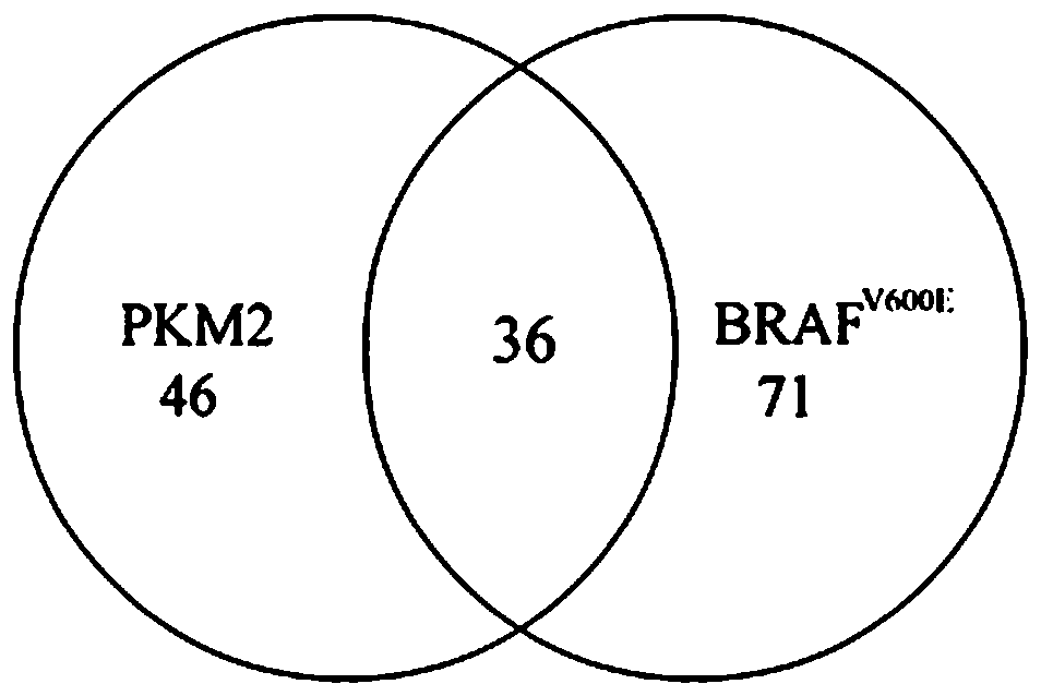 Biological sample marker relative to preoperative benign and malignant differential diagnosis of thyroid nodule and application thereof