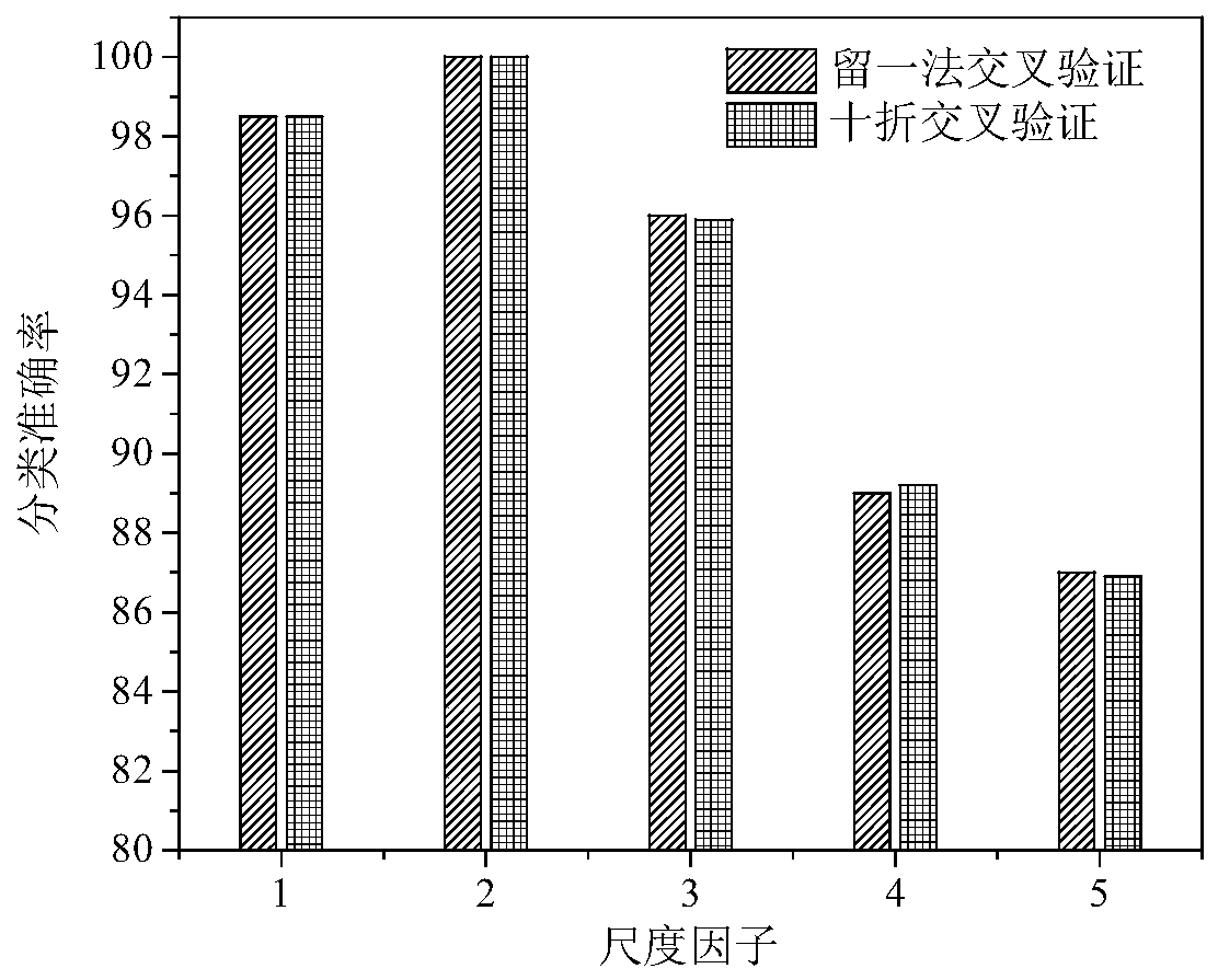 Analysis method and application of EEG signal based on complex network