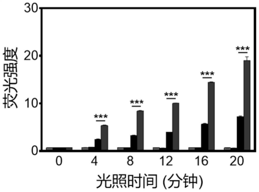 Aggregation-induced emission material as well as preparation method and application thereof