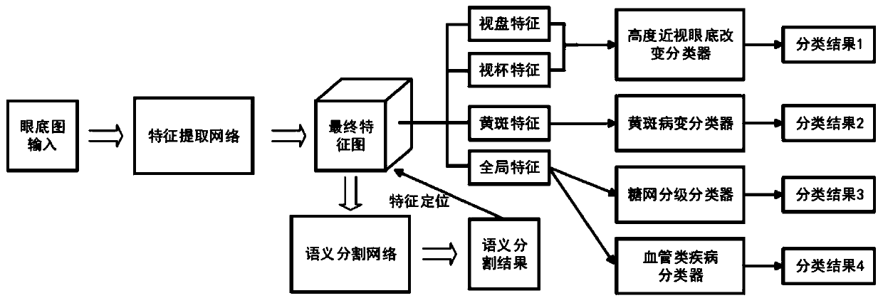 Fundus illumination multi-disease detection system based on regional feature set neural network