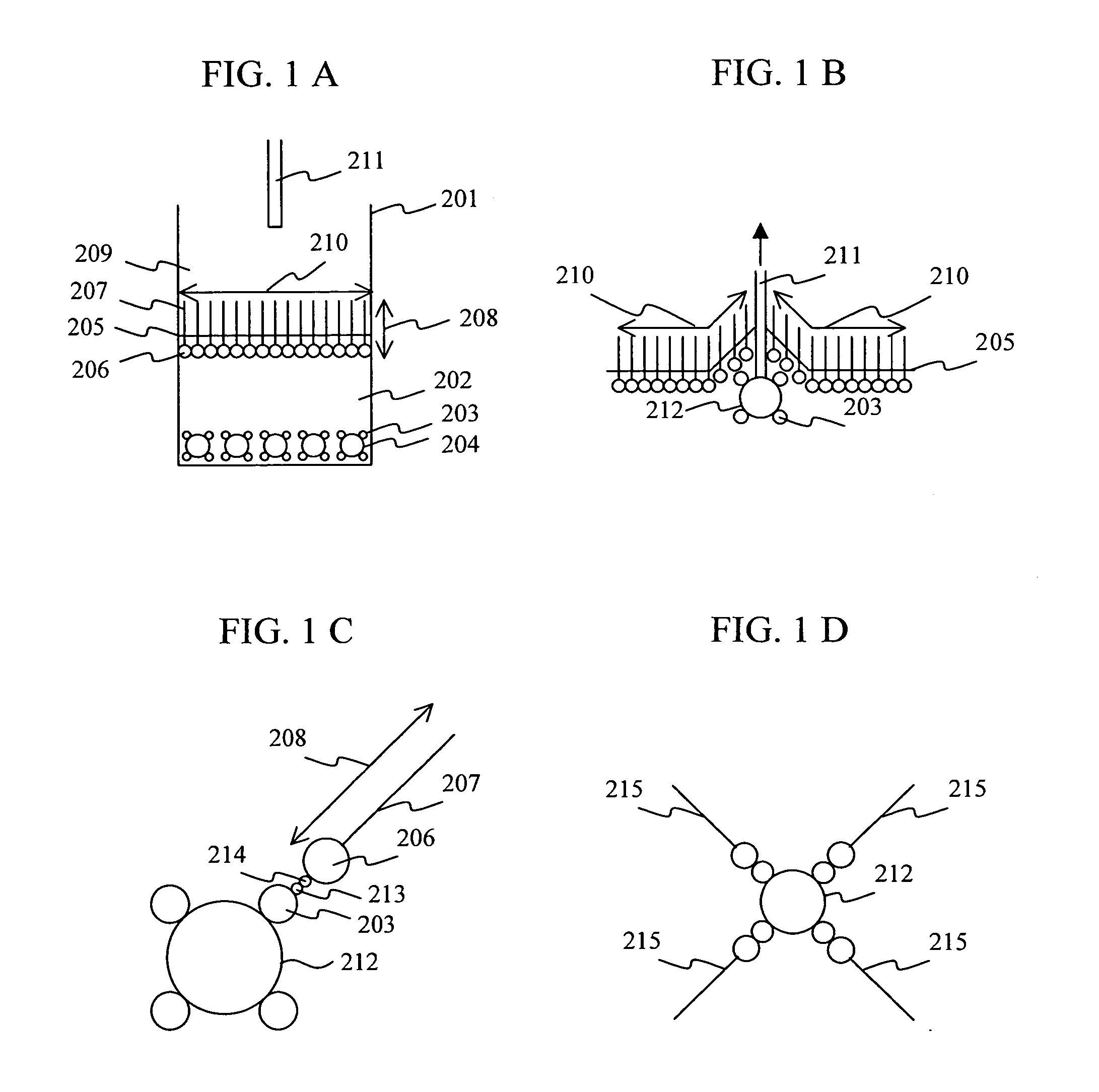 Beads with immobilized amphiphilic molecules, method of fabrication thereof, and method of arraying beads for capillary beads-array