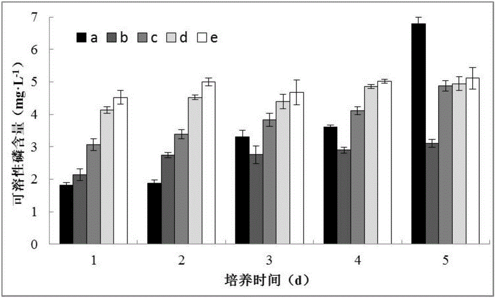 Aspergillus niger JXJ A01 with potassium and phosphate dissolving and organophosphorus pesticide decomposing activity and application thereof