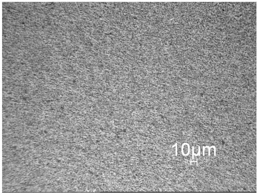 Processing method of silver tin oxide electrical contact material containing additives