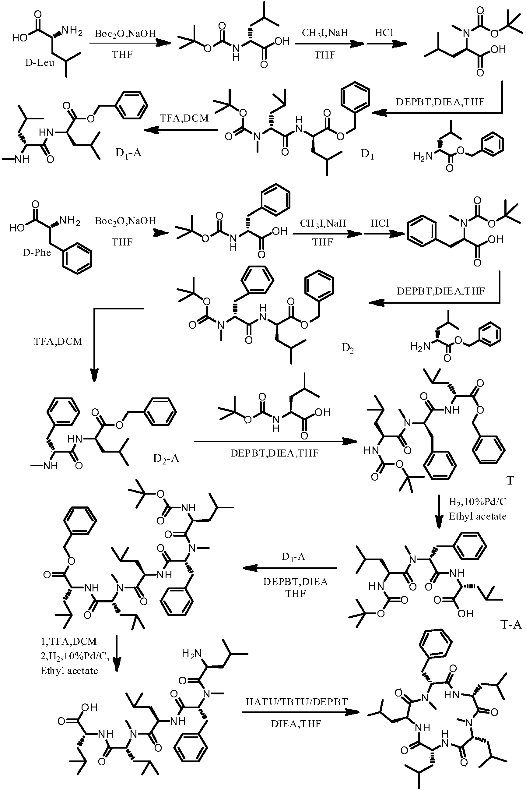 Cyclic pentapeptide as well as synthetic method and application thereof