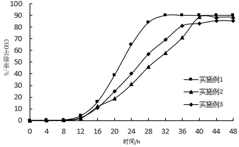 A method for immobilizing denitrifying bacteria with Trichoderma viride as carrier