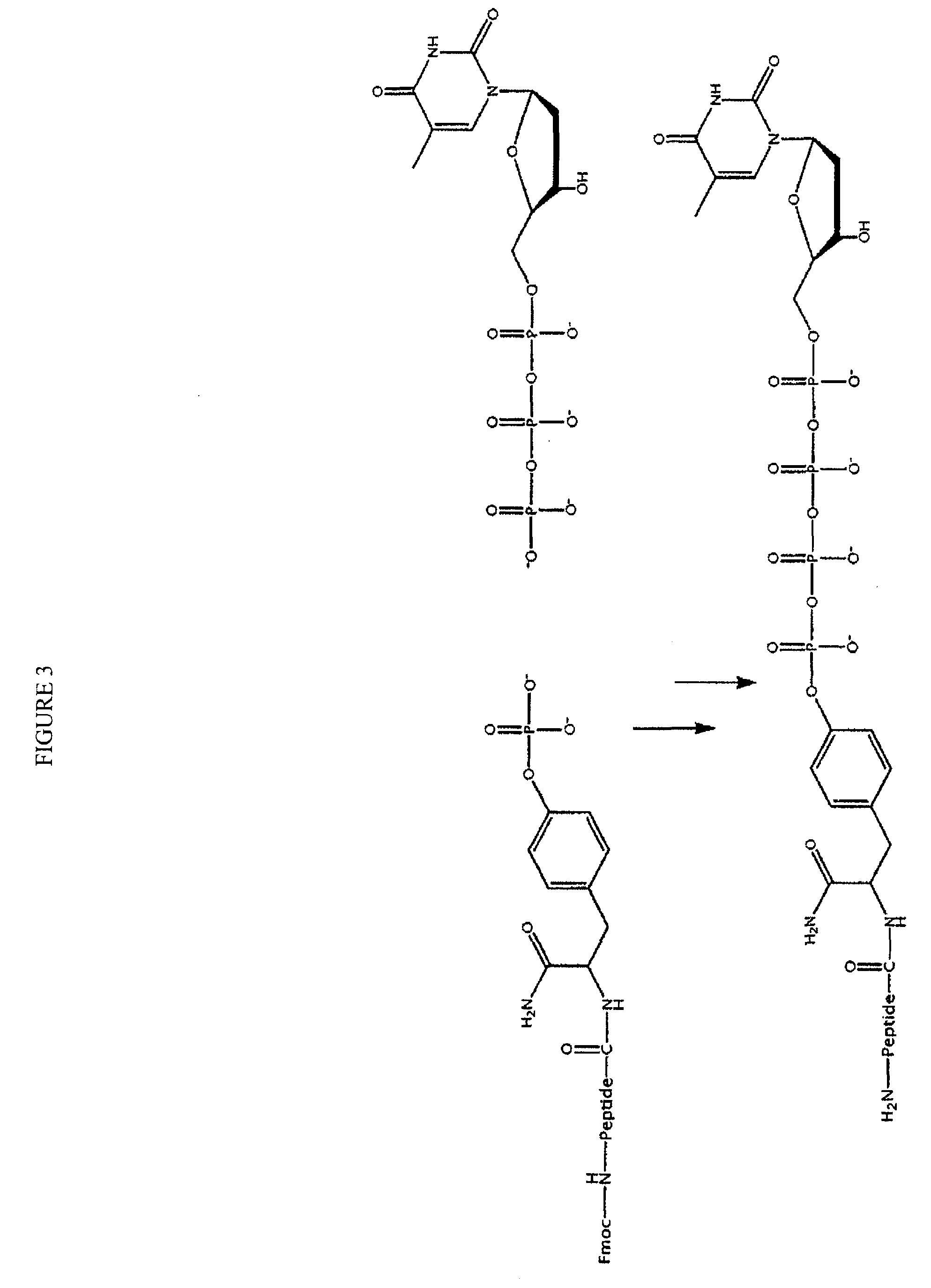 CIS reactive oxygen quenchers integrated into linkers