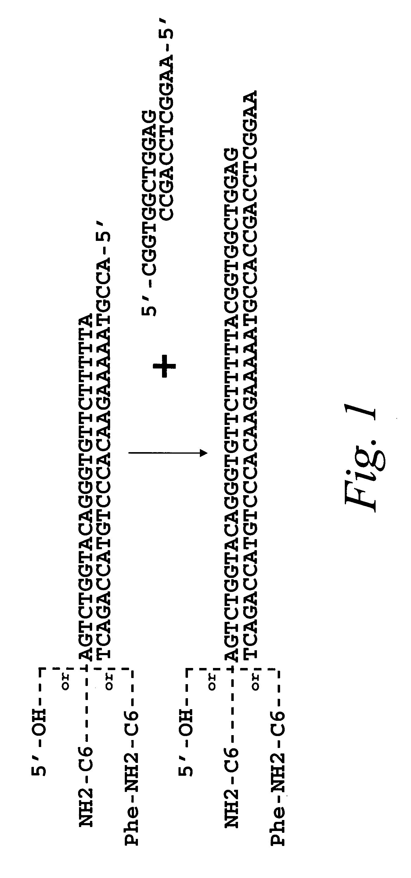 Methods for identifying compounds of interest using encoded libraries