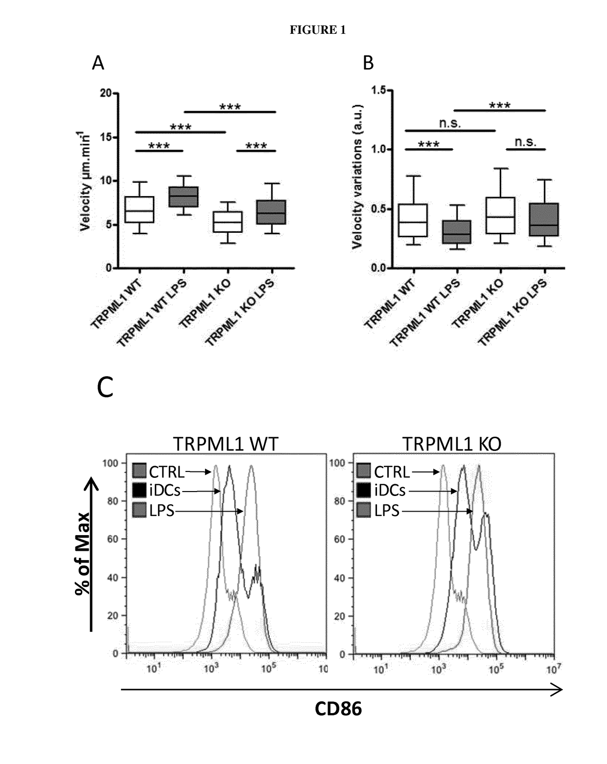 Use of Mcoln-1 modulators to regulate cell migration