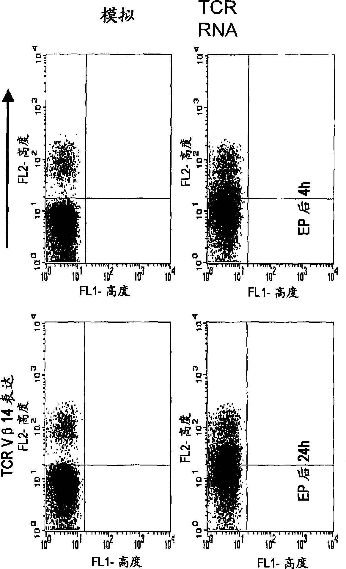 Methods for generating antigen-specific effector T cells