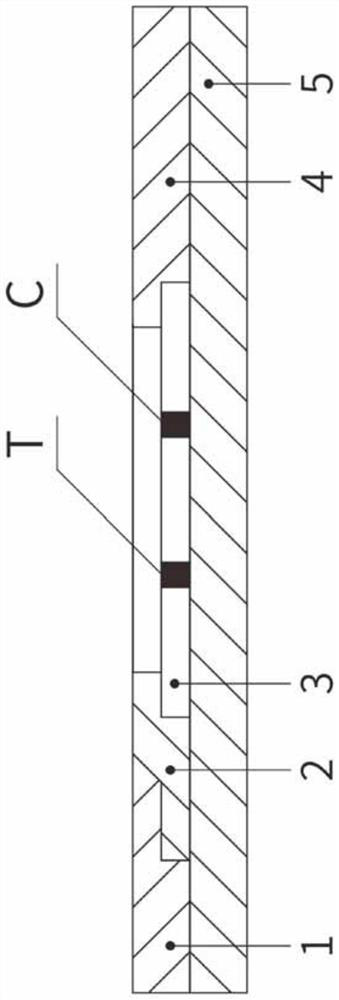 GDF15 rapid quantitative detection device and preparation method thereof