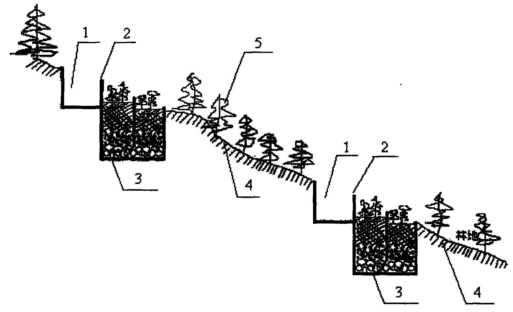 Terrace type composite vertical flow forest wetland and domestic sewage treatment method thereof