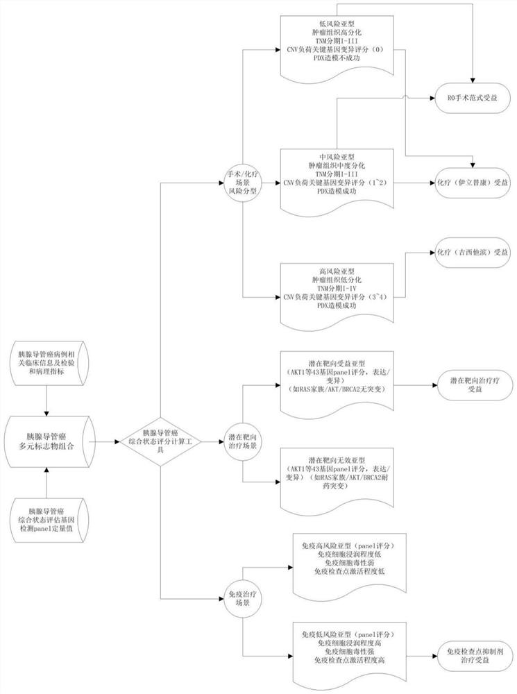 Construction method and application of pancreatic ductal cancer state evaluation model