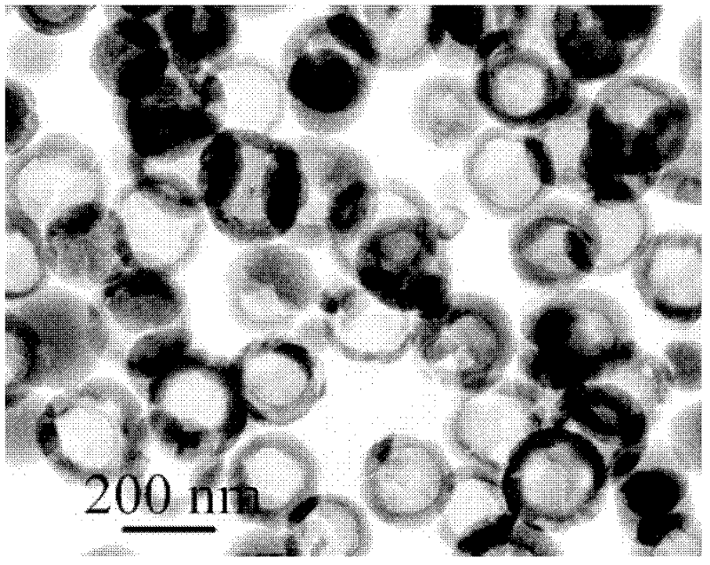 Preparation method of F-doped gamma-ferric oxide hollow microspheres with adjustable bandwidth