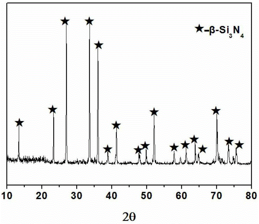 Method for extruding frozen camphene/silicon nitride body to prepare oriented porous silicon nitride ceramic