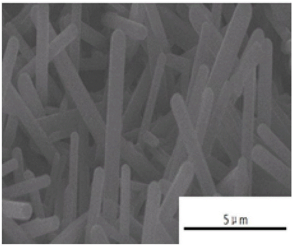 Method for extruding frozen camphene/silicon nitride body to prepare oriented porous silicon nitride ceramic