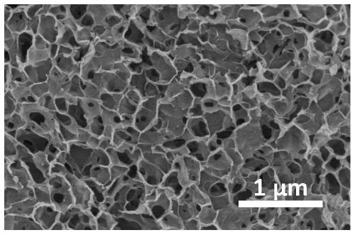 A kind of carbon-sulfur material with high sulfur content and preparation method thereof