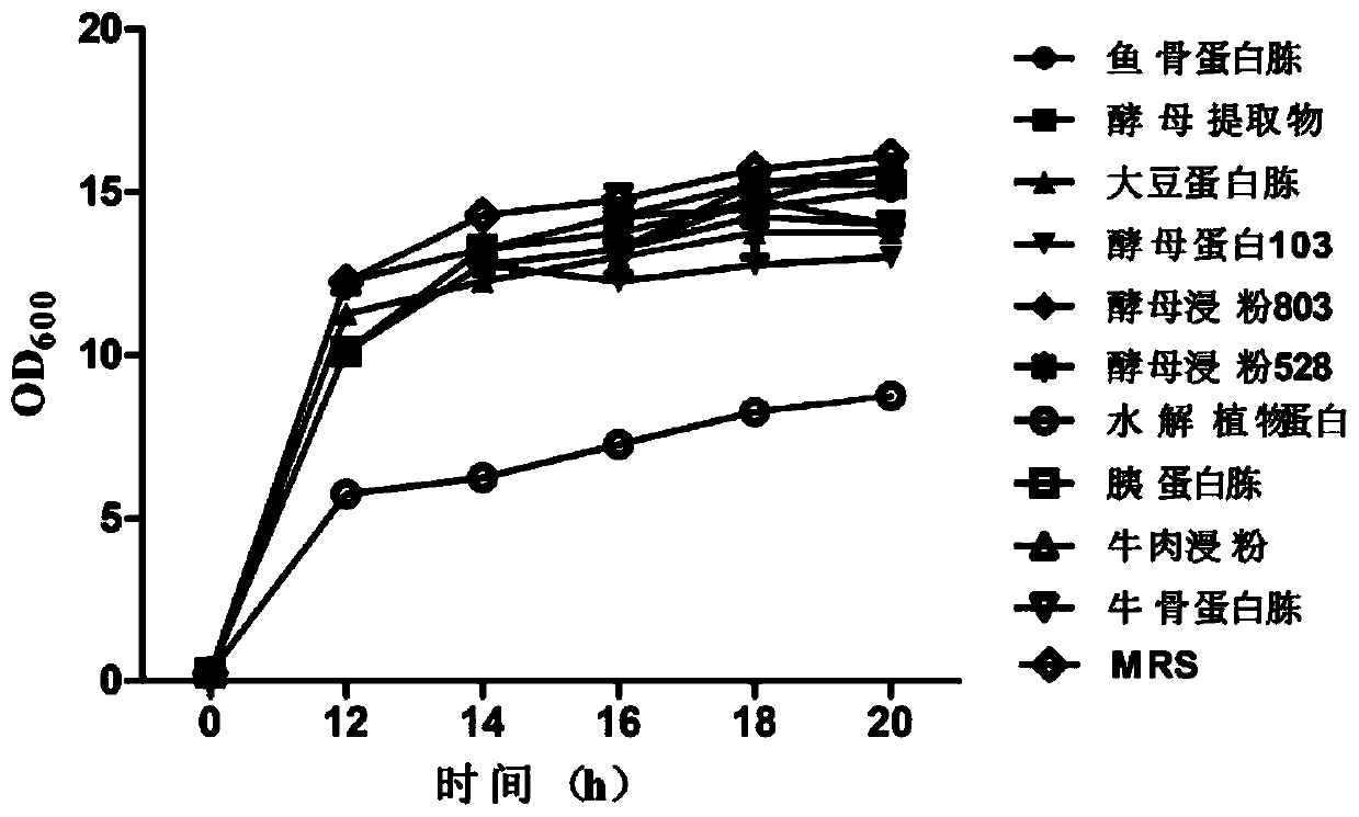 Culture medium for screening nitrogen sources suitable for bifidobacterium proliferation