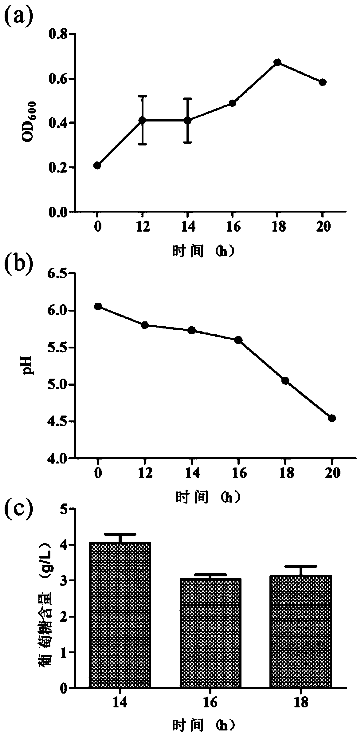 Culture medium for screening nitrogen sources suitable for bifidobacterium proliferation