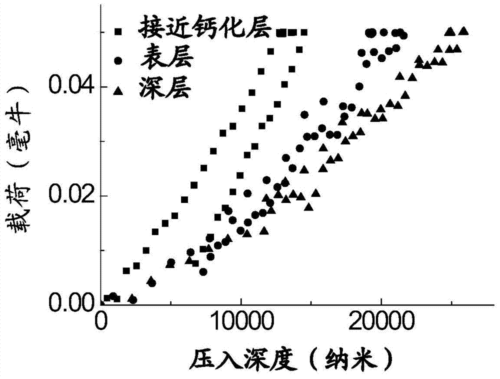 Articular cartilage microstructure nanoindentation inlaying and water-retaining sample stage and experiment method