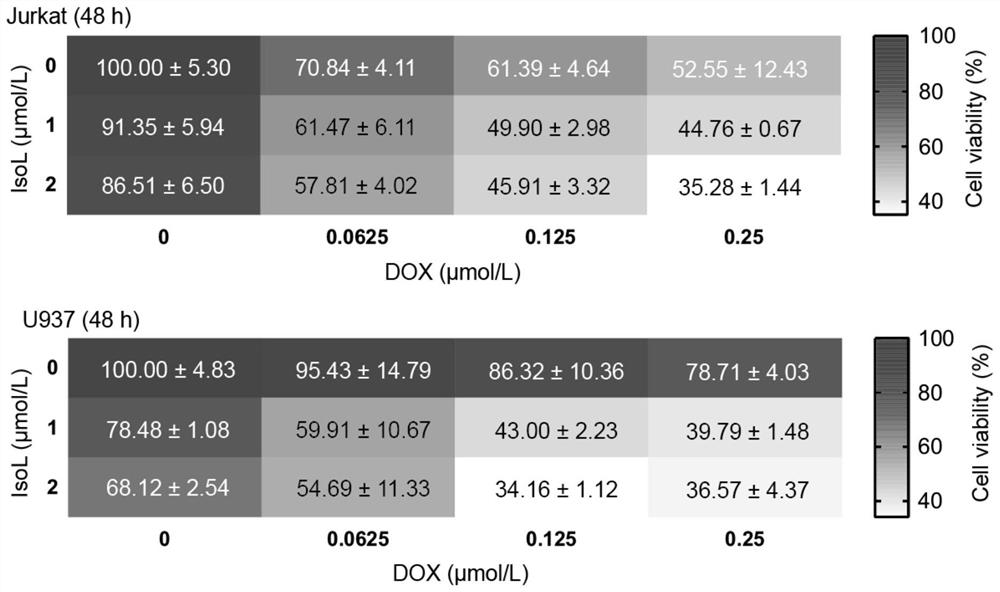 Compound medicine composition taking isoliensinine and chemotherapeutic medicine as active ingredients