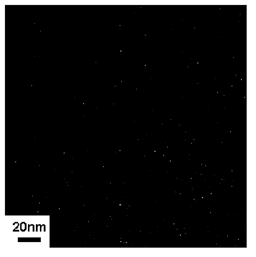 Preparation method for water-soluble magnetic nanometer particles