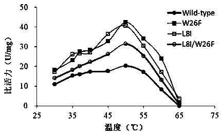 Epoxide hydrolase mutant and application thereof