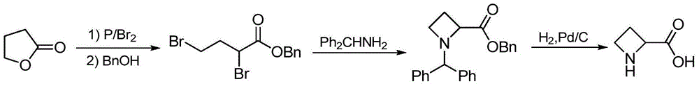 The preparation method of (s)-azetidine-2-carboxylic acid