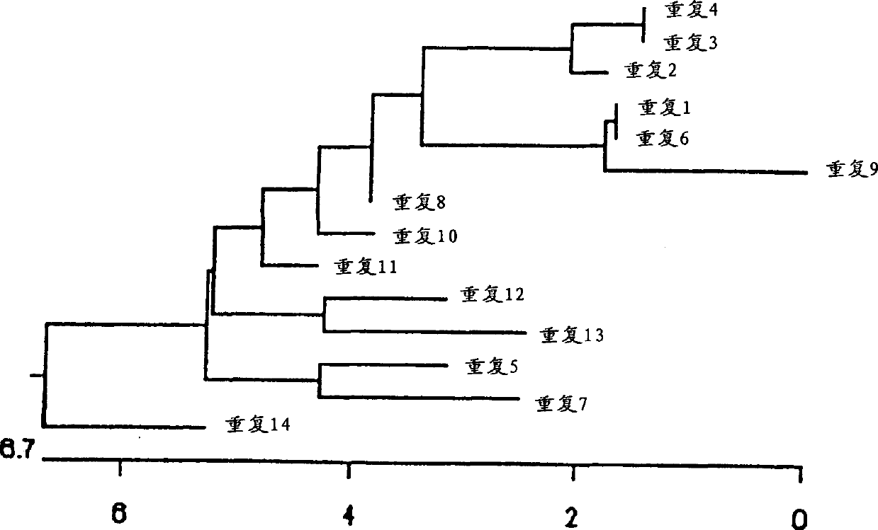 i(Ehrlichia canis) 120-KDa immunodominant antigenic protein and gene