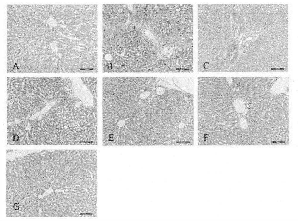 Quality control method and application of P. urinaria L. capsule