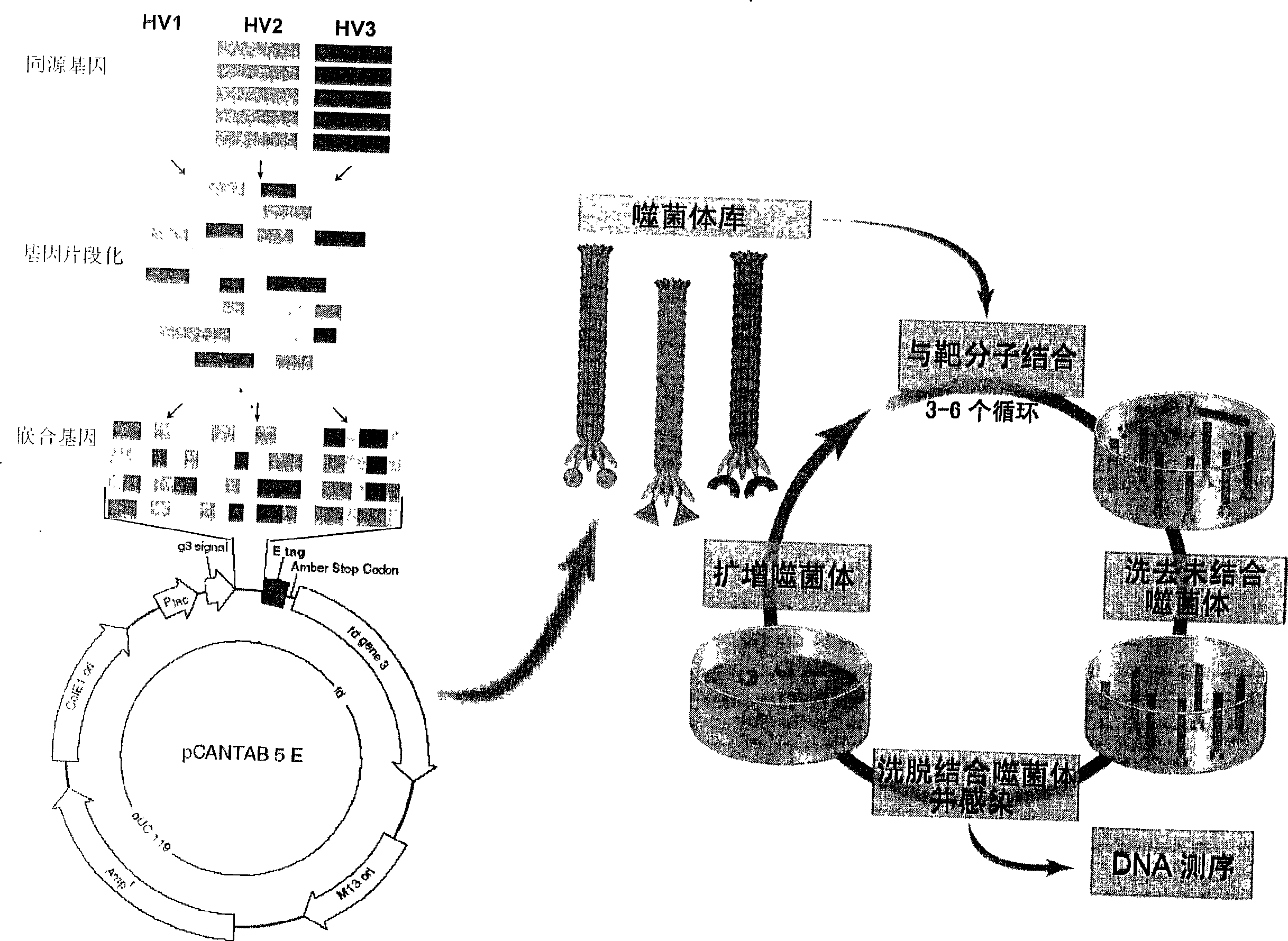 Method for preparing highly-active thrombin inhibitor