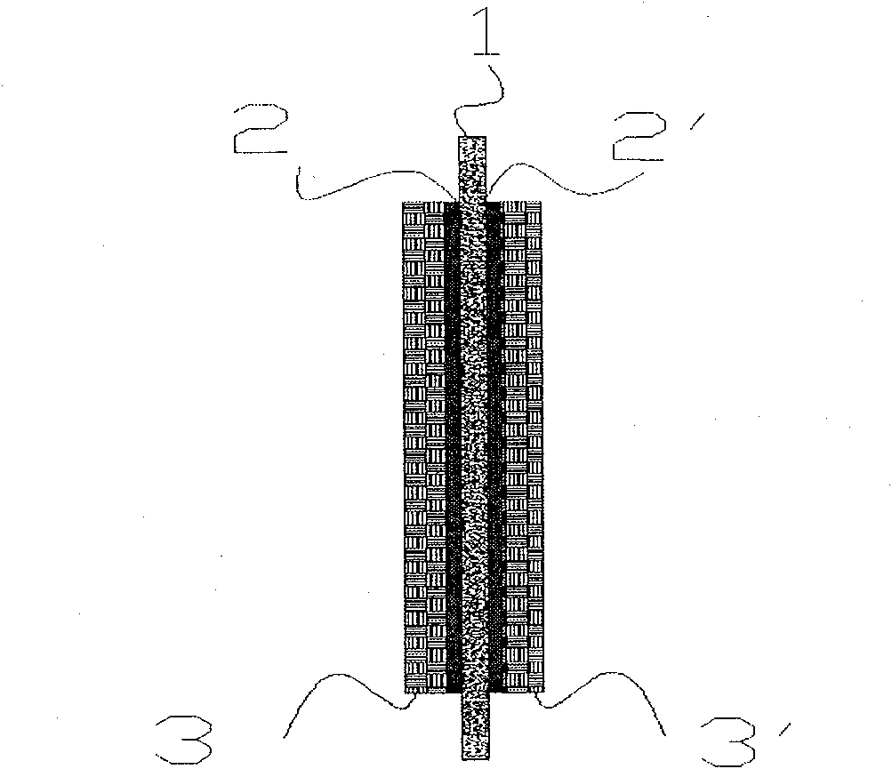 Pressing mold device for hot pressure prepared fuel cell membrane electrode