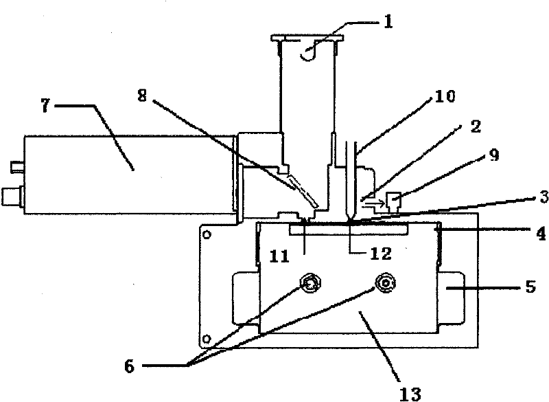 Biological particle detection system based on gelatin detection baseband