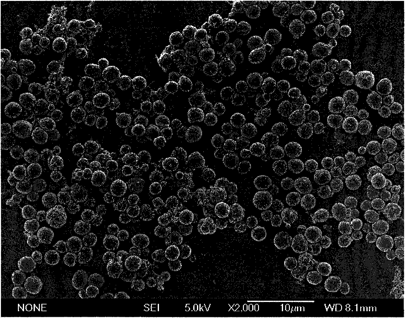 Amphiphilic porous hollow carbon microsphere as well as preparation method and application thereof