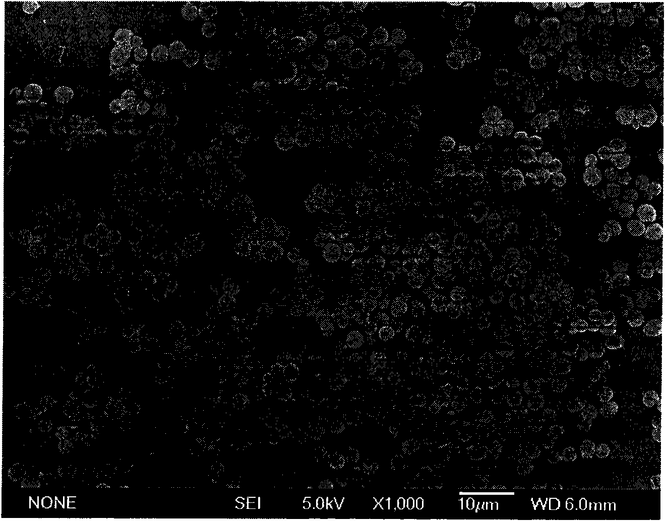 Amphiphilic porous hollow carbon microsphere as well as preparation method and application thereof