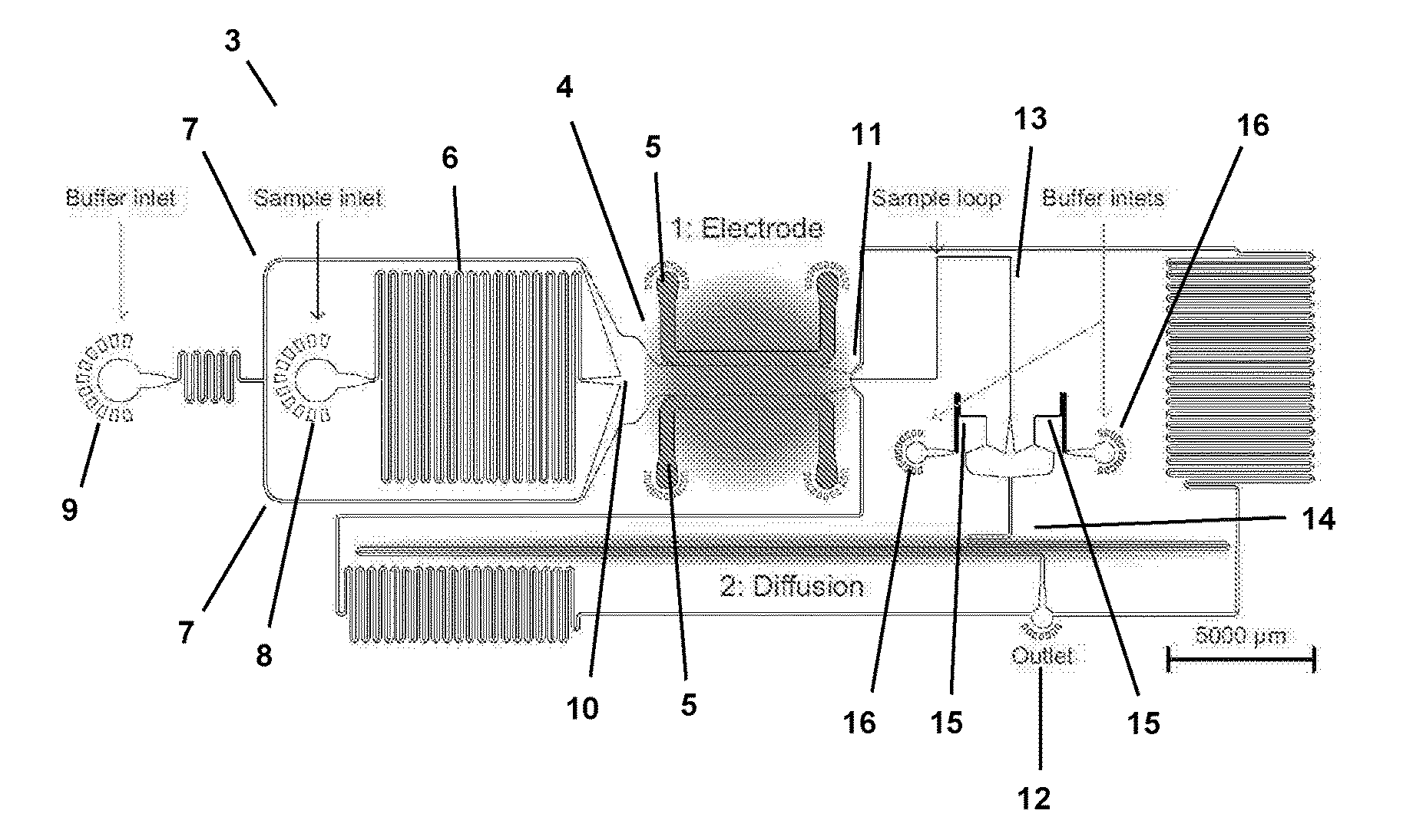 Fluidic analysis and separation