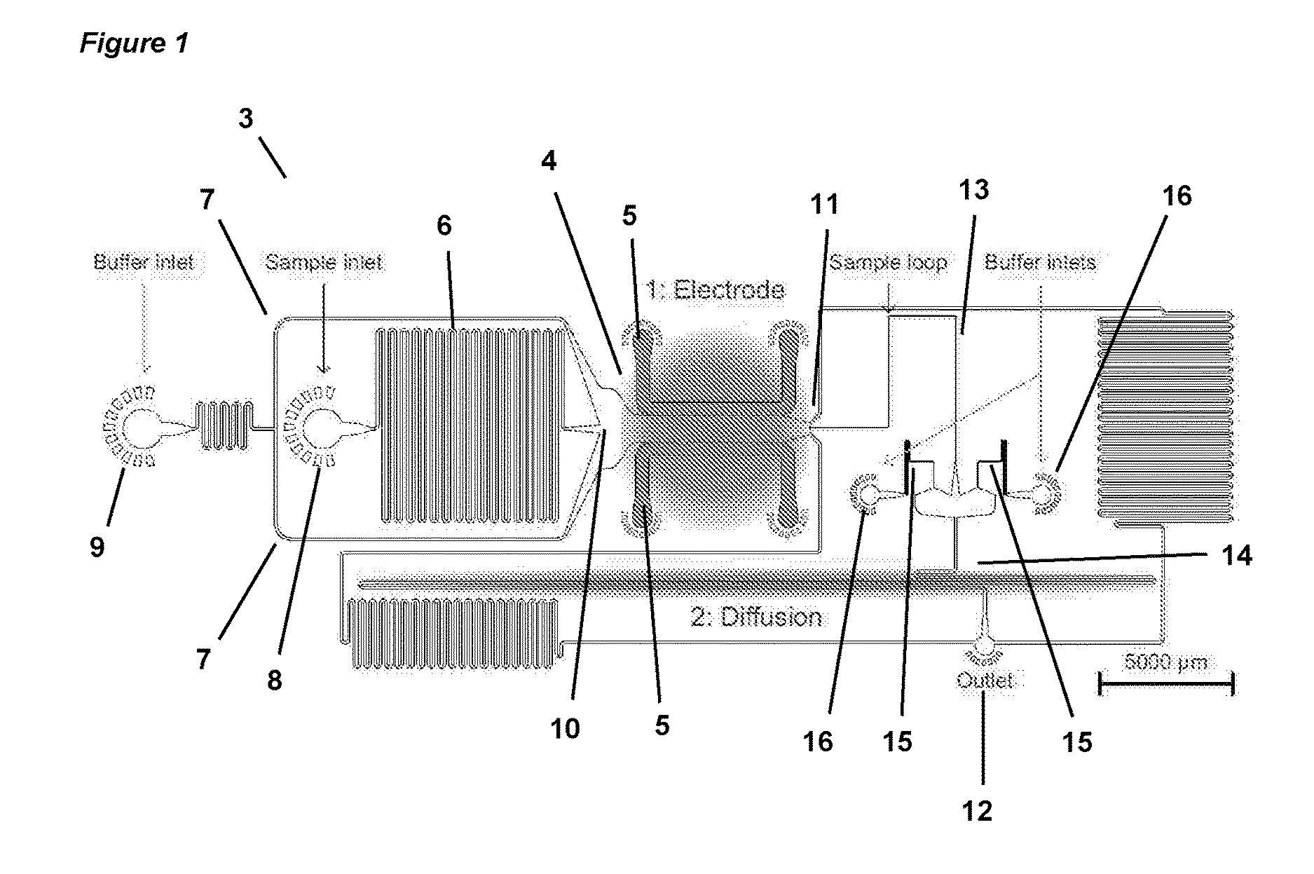 Fluidic analysis and separation