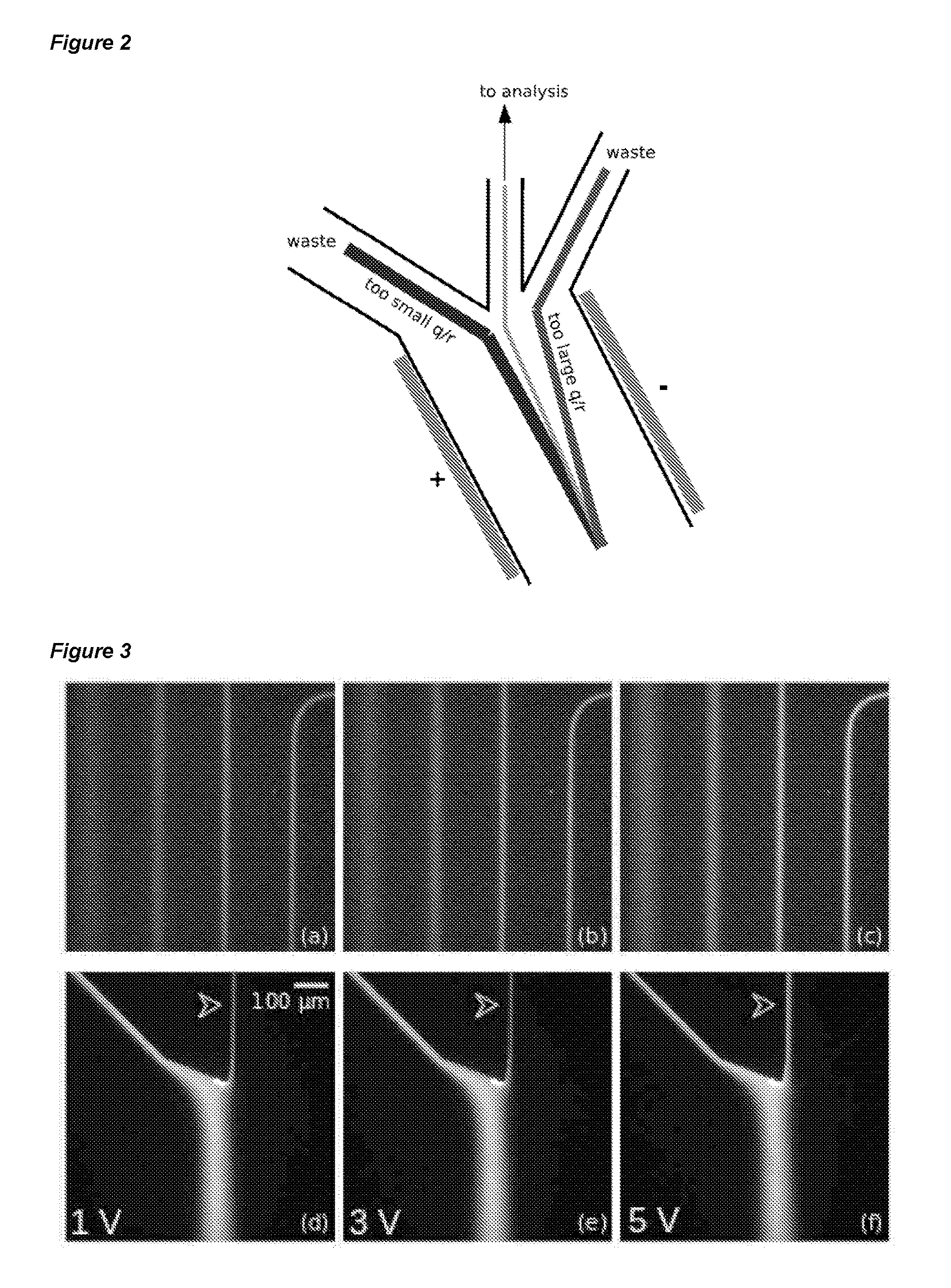 Fluidic analysis and separation