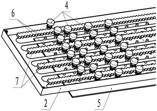 Shoe sole washing device