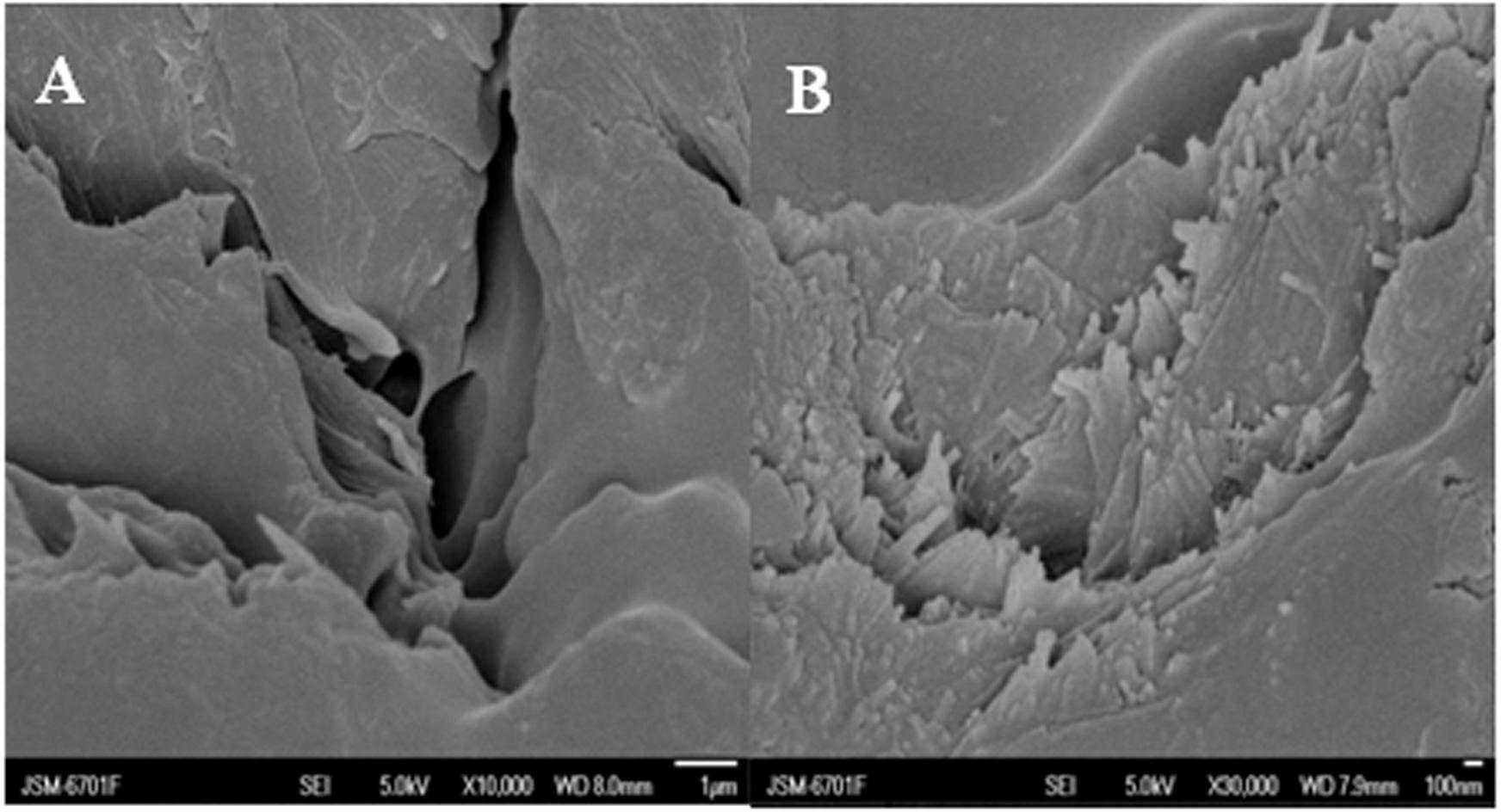 Preparation method of salt resistant composite water retention material