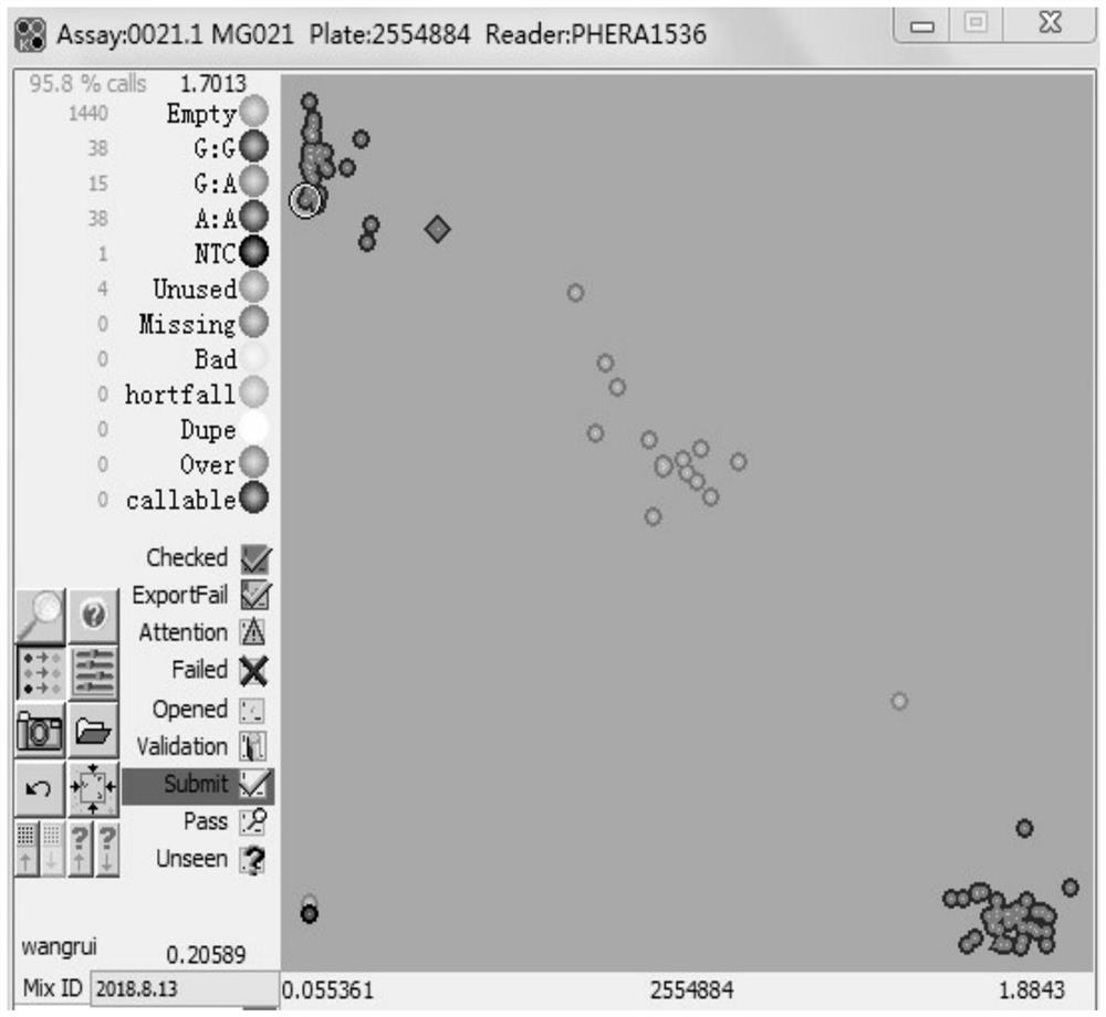 A method for identifying the purity of Jingnongke 728 corn hybrid based on SNP markers