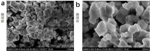 Lithium polyacrylate, preparation method and uses thereof, and lithium ion battery