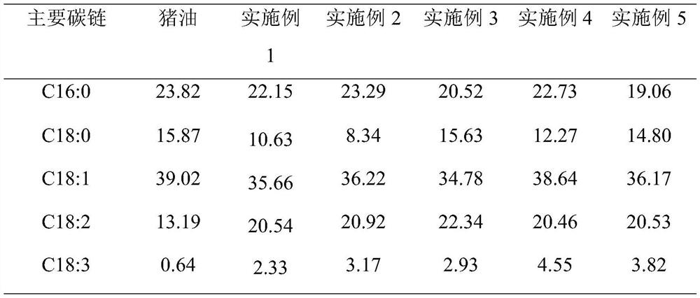 Structural lipid for replacing lard and preparation method thereof